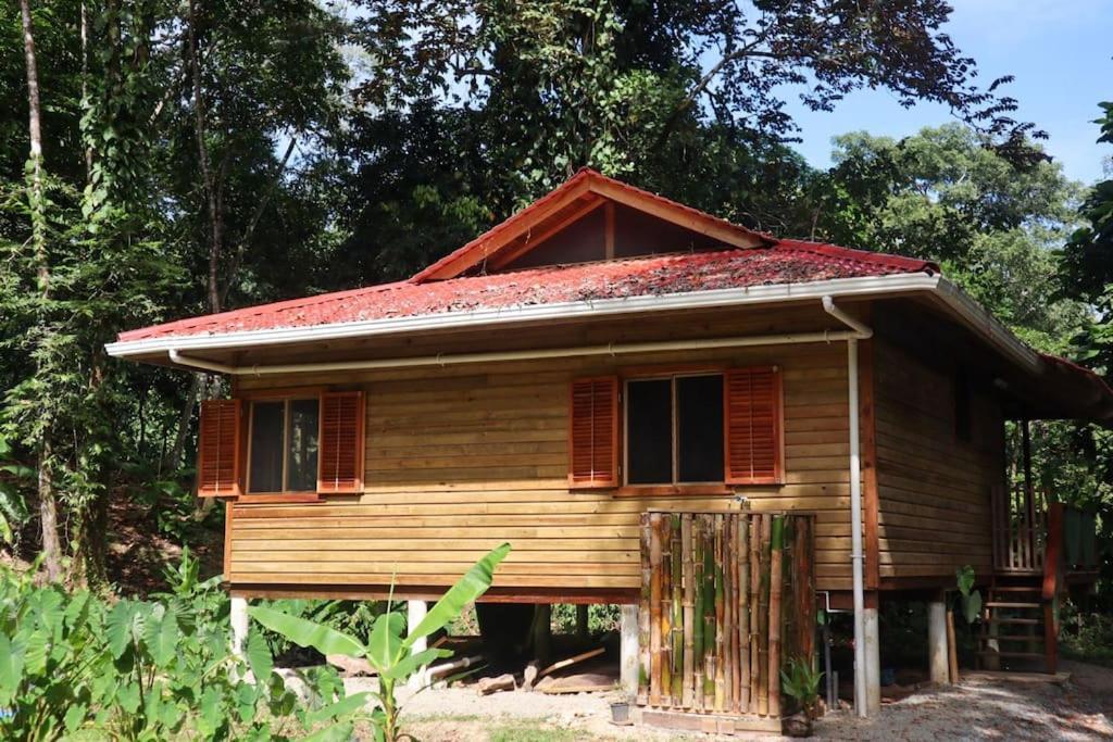 Jungle Beach 2 Bedroom Cottage Бокас-дель-Торо Экстерьер фото