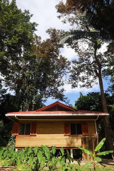 Jungle Beach 2 Bedroom Cottage Бокас-дель-Торо Экстерьер фото